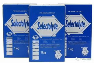 熱烈歡迎規模養殖場朋友蒞臨科瑞特參觀交流