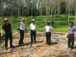 惠州市農業(yè)農村局副局長李冠源到龍門縣現場督查中央環(huán)保督察整改任務落實情況