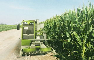 科脈機械4qzy 30自走式青貯飼料收獲機報價 補貼和圖片 甘肅金科峰農(nóng)業(yè)裝備工程有限責(zé)任公司