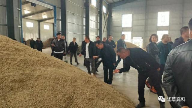烏蘭察布市飼草產(chǎn)業(yè)生產(chǎn)新模式示范推廣現(xiàn)場(chǎng)觀摩會(huì)在豐鎮(zhèn)隆重召開