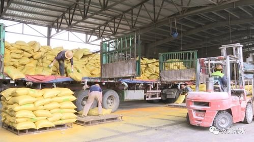 浠水海大飼料 以產(chǎn)品為舵，服務為帆，護航養(yǎng)殖業(yè)發(fā)展