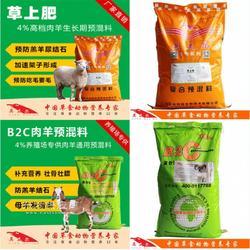 羊吃什么飼料長得快？科學養(yǎng)羊飼料指南