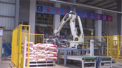 年產值10億元！湖北丹富仕飼料項目建成投產，為畜牧養殖注入強勁動力